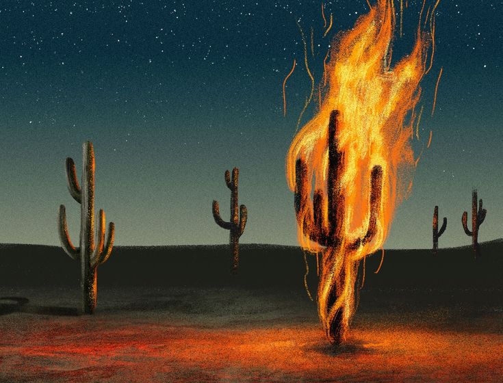 poems for awakenings and those who break the&nbsp;mold